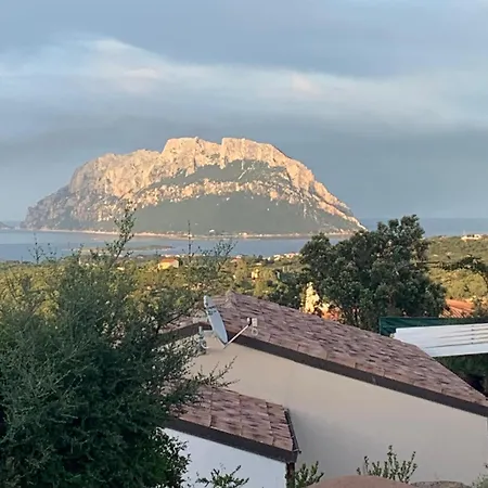Corallina House Daire Murta Maria